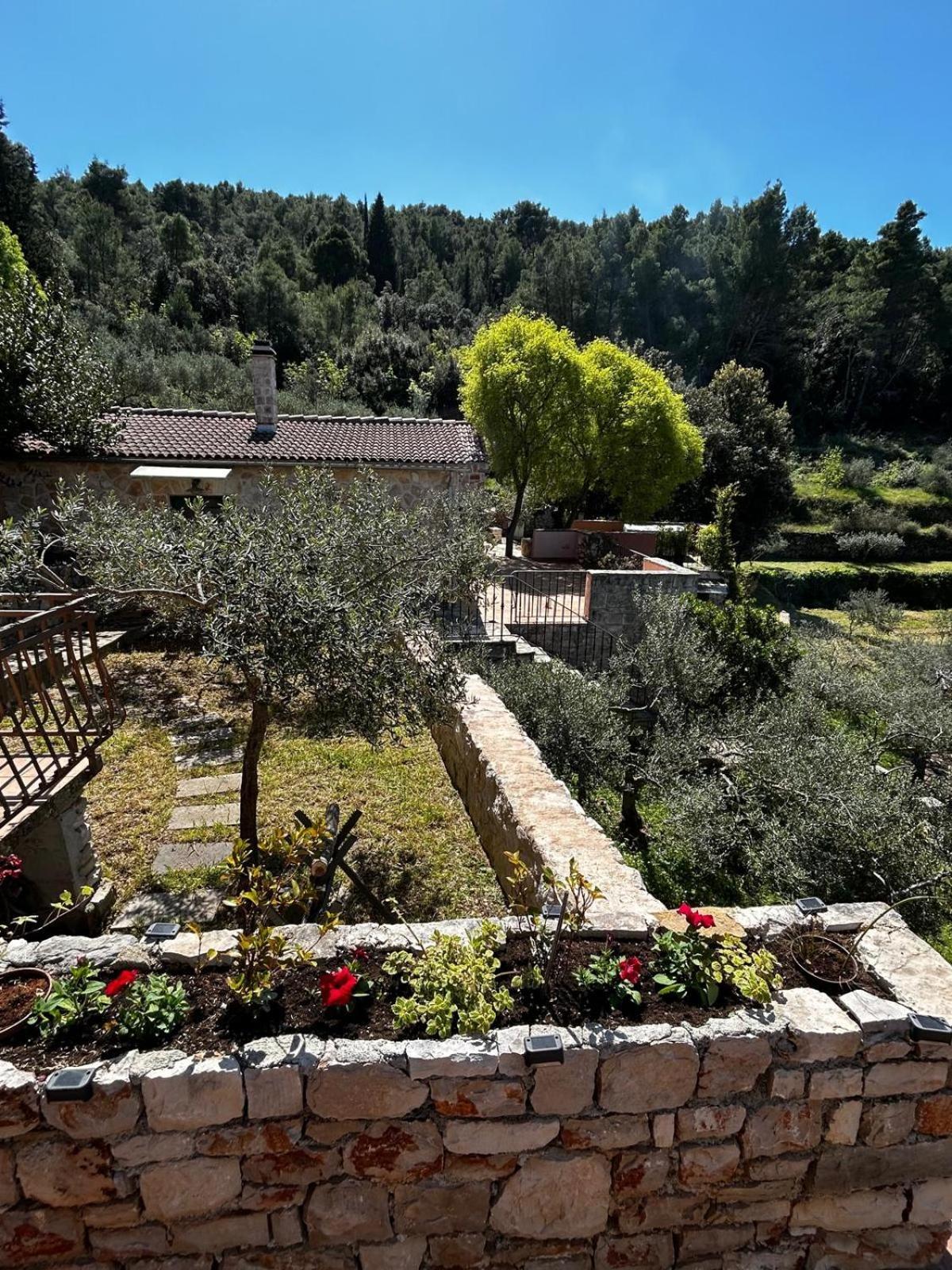 Merlo House Dol Hvar สตารีกราด ภายนอก รูปภาพ